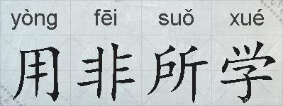 用非所学的拼音