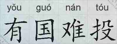 有国难投的拼音