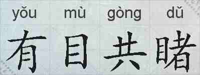 有目共睹的拼音