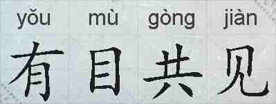 有目共见的拼音