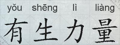 有生力量的拼音