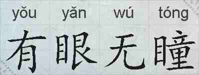 有眼无瞳的拼音
