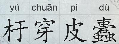 杅穿皮蠹的拼音