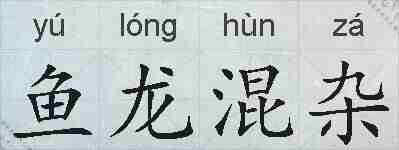 鱼龙混杂的拼音