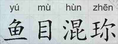 鱼目混珎的拼音
