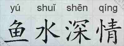 鱼水深情的拼音