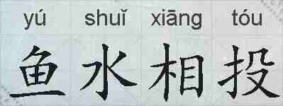 鱼水相投的拼音