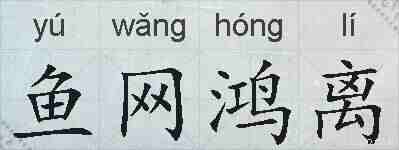 鱼网鸿离的拼音