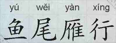 鱼尾雁行的拼音