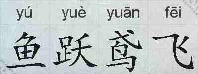 鱼跃鸢飞的拼音
