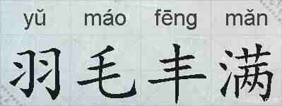 羽毛丰满的拼音