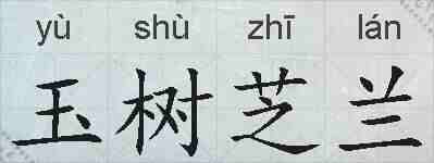 玉树芝兰的拼音