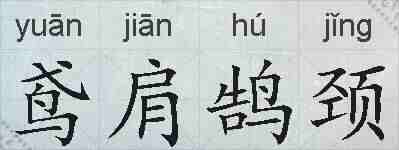 鸢肩鹄颈的拼音