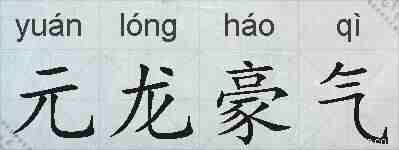 元龙豪气的拼音