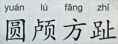 圆颅方趾的拼音