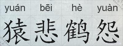 猿悲鹤怨的拼音