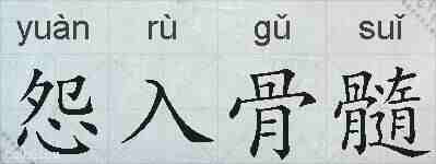 怨入骨髓的拼音