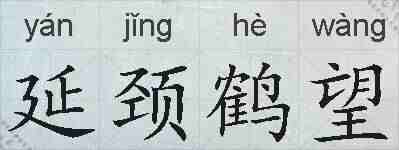 延颈鹤望的拼音