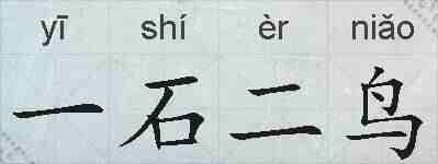 一石二鸟的拼音