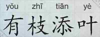 有枝添叶的拼音