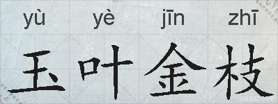 玉叶金枝的拼音