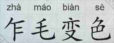 乍毛变色的拼音