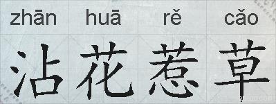 沾花惹草的拼音