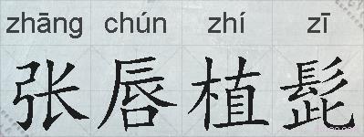 张唇植髭的拼音