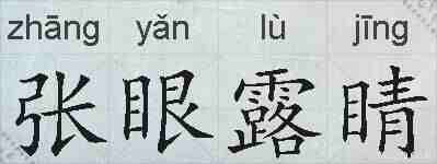 张眼露睛的拼音