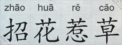招花惹草的拼音