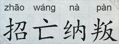 招亡纳叛的拼音