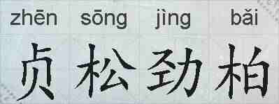 贞松劲柏的拼音