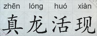 真龙活现的拼音