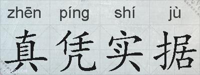 真凭实据的拼音