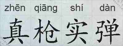 真枪实弹的拼音