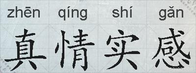 真情实感的拼音