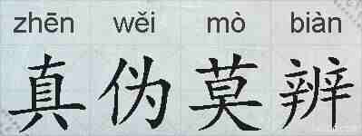 真伪莫辨的拼音