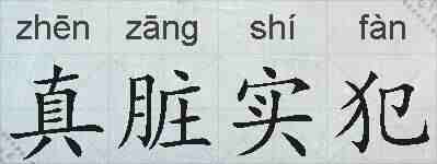 真脏实犯的拼音
