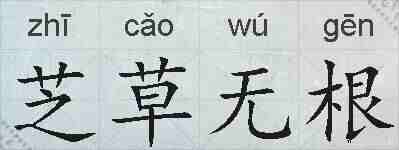 芝草无根的拼音