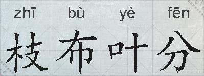 枝布叶分的拼音