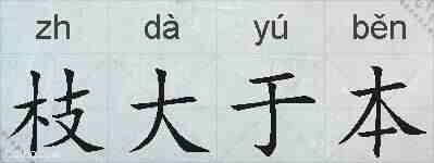 枝大于本的拼音