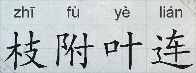 枝附叶连的拼音