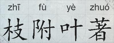 枝附叶著的拼音