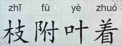 枝附叶着的拼音