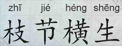 枝节横生的拼音