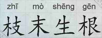 枝末生根的拼音