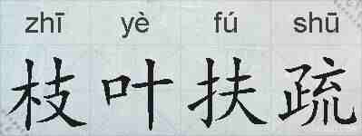 枝叶扶疏的拼音