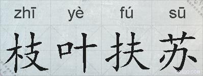 枝叶扶苏的拼音