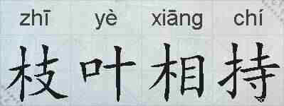 枝叶相持的拼音