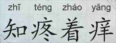 知疼着痒的拼音